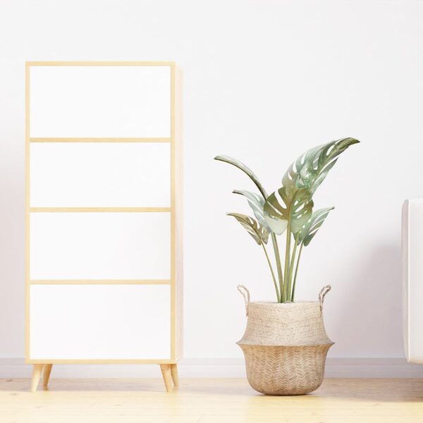 Open timber-framed shelving unit beside a plant in a woven basket